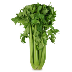 Celery Whole Bunch